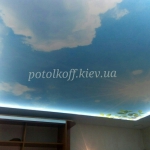 viber image 9